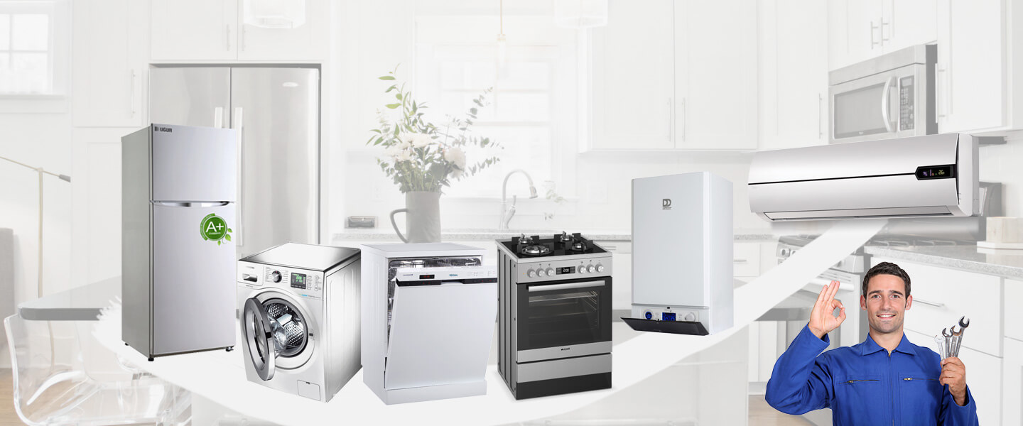 Bozdoğan Windsor Servisi